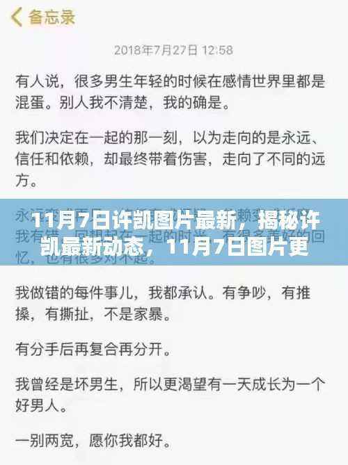 揭秘许凯最新动态，11月7日图片更新与热议焦点