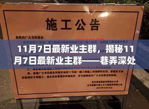 揭秘特色小店奇遇之旅,巷弄深处的隐藏瑰宝——最新业主群探访纪实(11月7日)