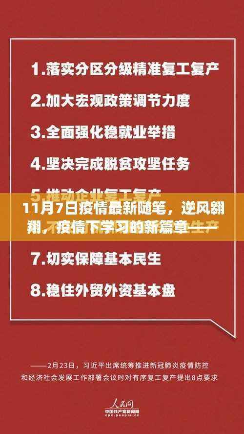 逆风翱翔，11月7日疫情下的学习新篇章随笔