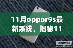 花开无言 第10页