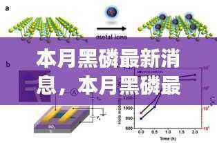 本月黑磷最新动态，科技前沿的进展与影响揭秘