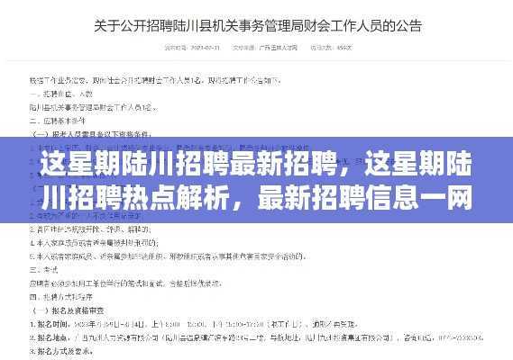陆川本周招聘热点解析，最新招聘信息一网打尽