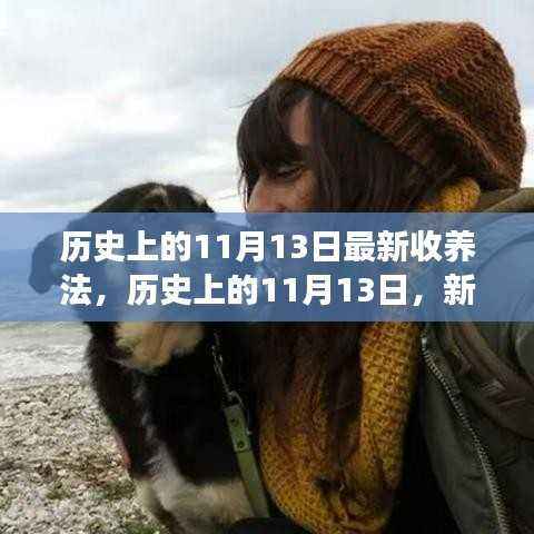 历史上的新收养法，心灵之旅与探寻自然美景的奇妙探险之旅