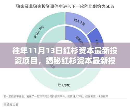 揭秘红杉资本最新投资项目动向,跟踪解读投资风向标之道