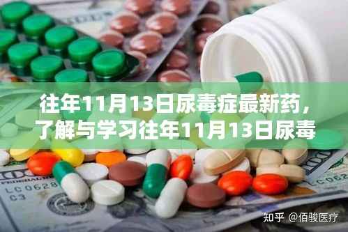 往年11月13日尿毒症新药资讯,最新药物使用指南全解析