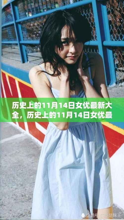 历史上的11月14日女优最新大全,历史上的11月14日女优最新大全,全面评测与深度解析