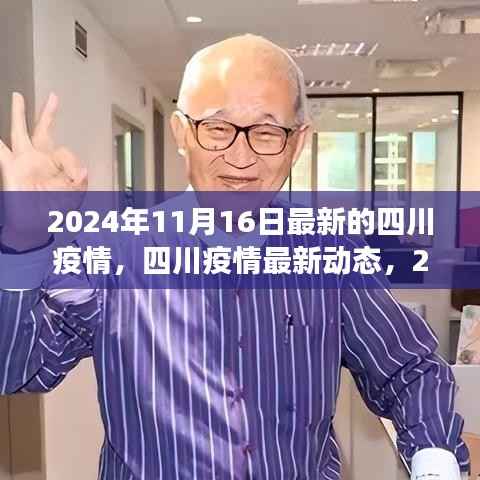 2024年11月16日深度观察，四川疫情最新动态与深度解析
