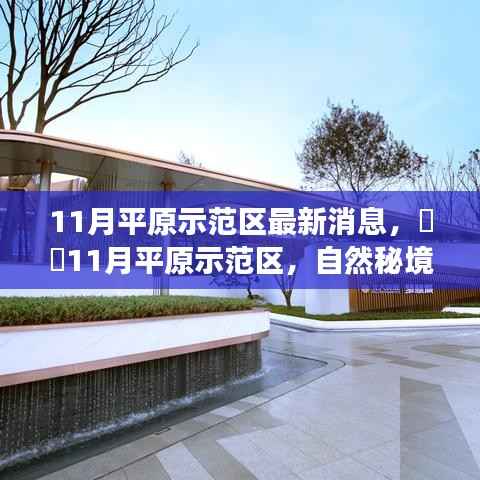 11月平原示范区最新动态，自然秘境之旅的呼唤，探寻内心平和的奇妙旅程