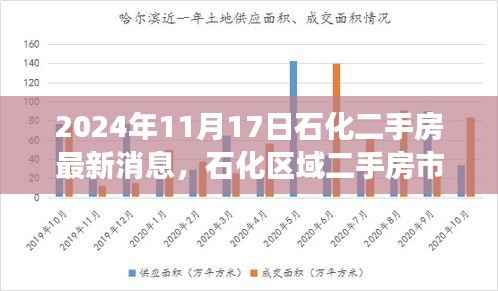 石化区域二手房市场深度解析及最新消息展望（2024年11月版）