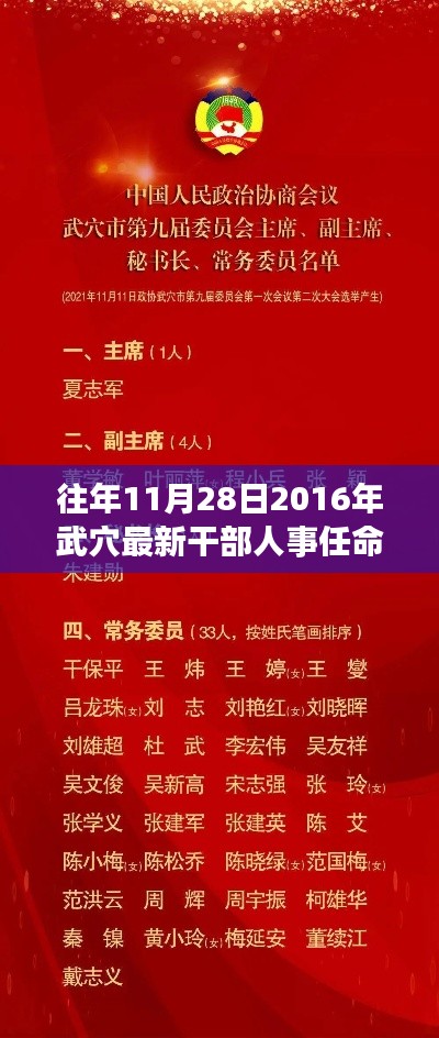 揭秘武穴市最新干部人事任命步骤,2016年11月28日全解析指南