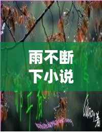 雨不断下小说，雨不停下 