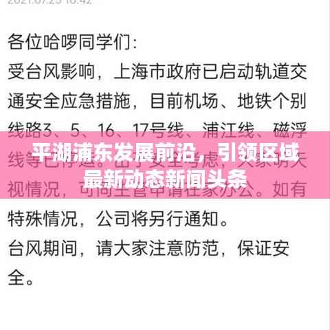 平湖浦东发展前沿，引领区域最新动态新闻头条