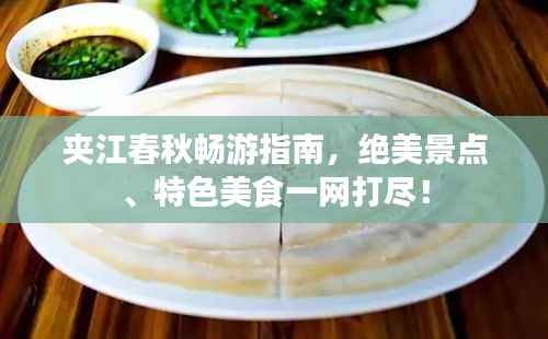 鸷鸟不群