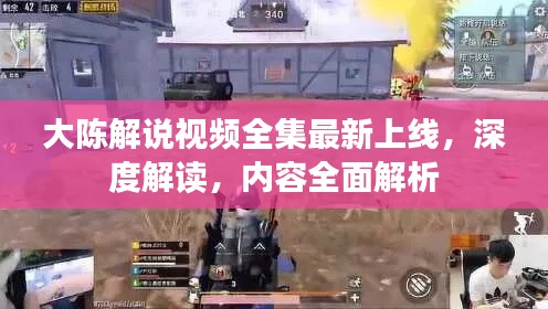 粗枝大叶