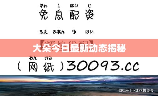 大朵今日最新动态揭秘
