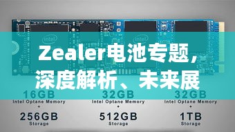 Zealer电池专题，深度解析、未来展望，全方位揭秘电池技术革新之路