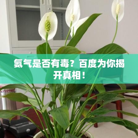 逸兴遄飞